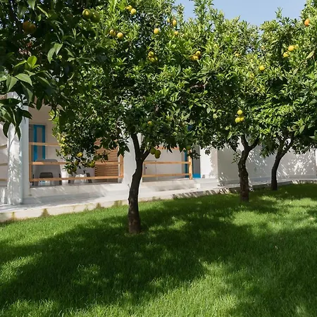 Terrabella Mattinata